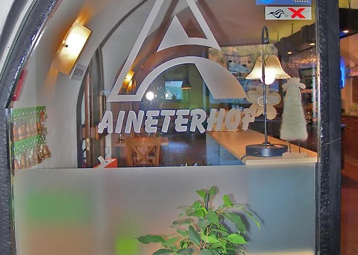 فندق مبيت وإفطار Aineterhof